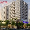 THE NAVITA