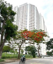 L'AURORA PHU YEN-BÁN GẤP-DT108- CÓ SỔ