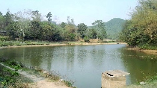 Sổ đỏ ghi đất ở nhưng sổ địa chính lại thể hiện nửa đất ở, nửa đất ao – Xác định đất ở thế nào?