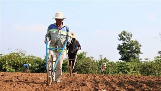 Thẩm quyền đính chính sổ hồng sau khi dồn điền, đổi thửa