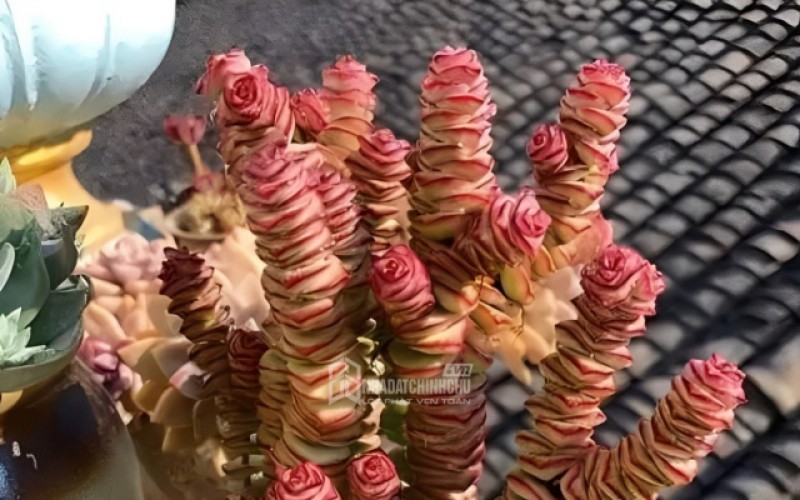 5 loại cây được giới nhà giàu ưa chuộng