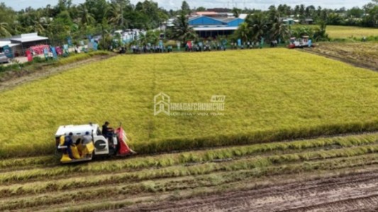 Thủ tục chuyển mục đích đất nông nghiệp sang đất thương mại dịch vụ