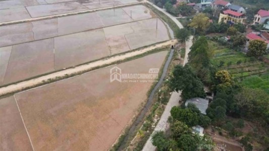 Xây nhà trên đất nông nghiệp nguy cơ bị phạt tiền và buộc tháo dỡ