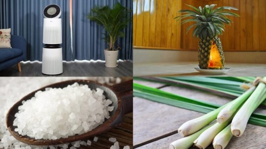 Cách đơn giản để loại bỏ mùi ẩm mốc trong nhà