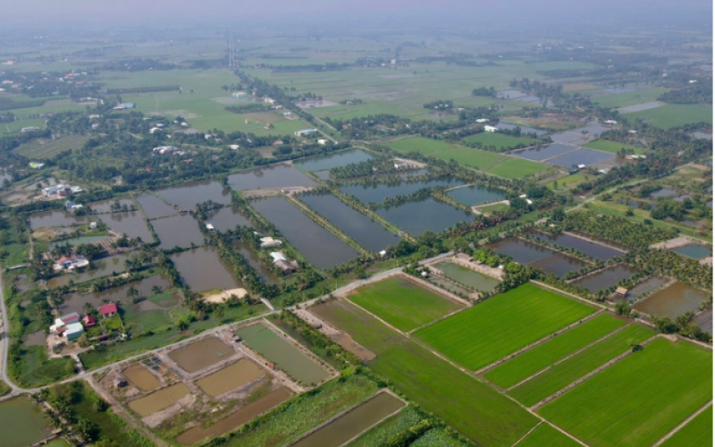 Giá đất nông nghiệp TP HCM dự kiến giảm 20–25% theo bảng giá mới