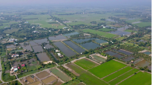 Giá đất nông nghiệp TP HCM dự kiến giảm 20–25% theo bảng giá mới