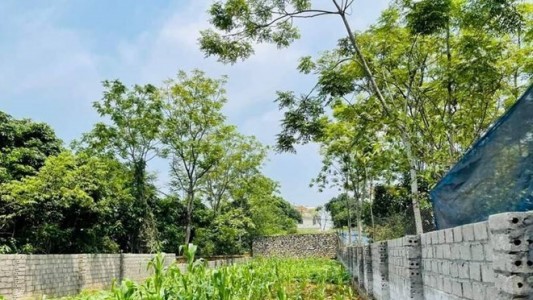 Giá đất nền tăng mạnh, nhiều khu vực ghi nhận mức tăng tới 100%