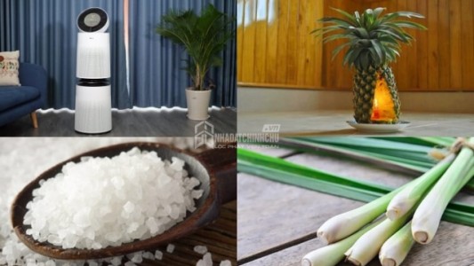 Cách đơn giản để loại bỏ mùi ẩm mốc trong nhà