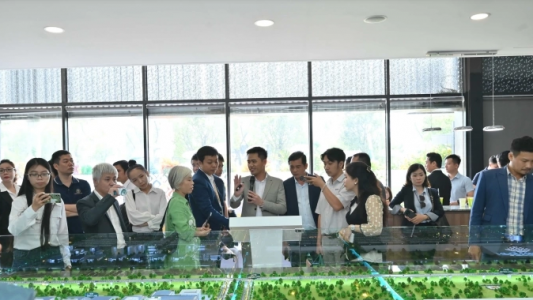 Giao dịch đất nền bứt tốc cuối năm 2025, thanh khoản tăng mạnh trở lại