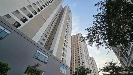 Giá chung cư tăng nhanh, phán đoán khả năng thị trường đã đạt đỉnh