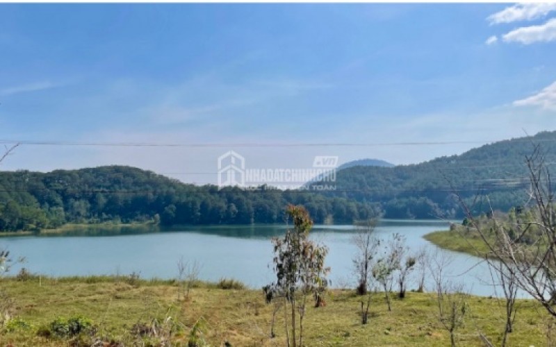 Tặng gần 1.900m² đất cho con trai, cha mẹ vướng tranh chấp khi con không trả đất đứng tên giùm chị