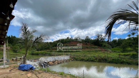 Kiện hàng xóm lấn đất, ra tòa mới biết ranh giới thật của thửa đất