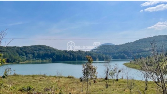 Tặng gần 1.900m² đất cho con trai, cha mẹ vướng tranh chấp khi con không trả đất đứng tên giùm chị