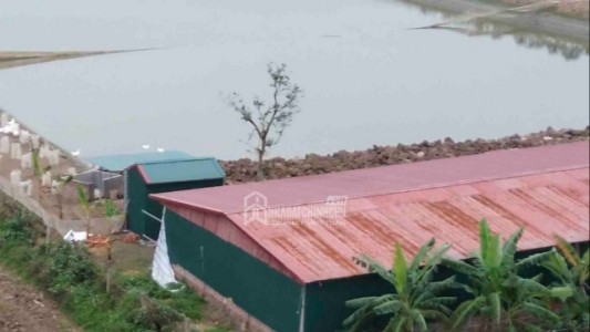 Hà Nội xác minh phản ánh xây dựng trái phép trên đất nông nghiệp tại xã Mỹ Đức