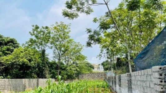 Đất 50 năm gồm những loại nào theo quy định hiện nay?