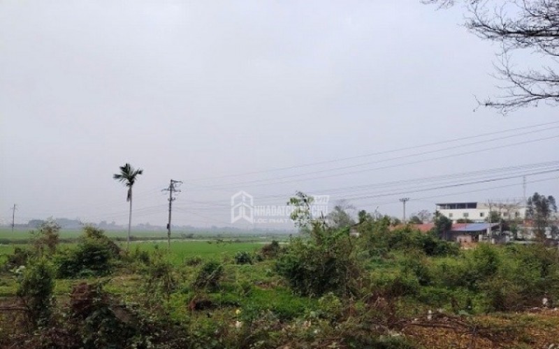 Cấp Sổ đỏ cho người có công khi diện tích đất thực tế tăng thêm