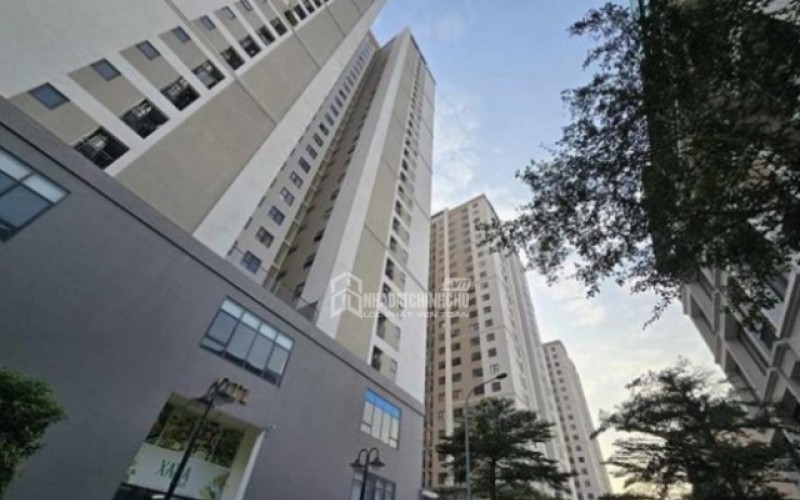 Giá căn hộ khó giảm dù thị trường trầm lắng: Góc nhìn thực tế từ dữ liệu và chuyên gia