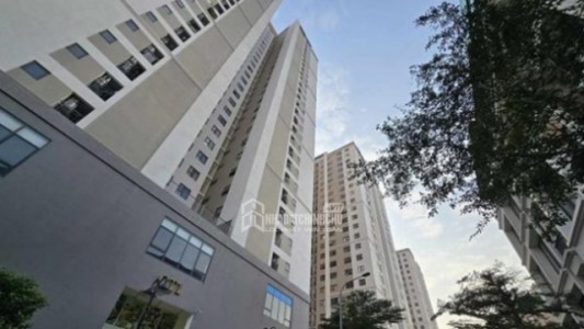 Giá căn hộ khó giảm dù thị trường trầm lắng: Góc nhìn thực tế từ dữ liệu và chuyên gia