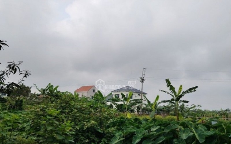 Chuyển một phần đất nông nghiệp sang đất ở từ 2026: Không bắt buộc tách thửa