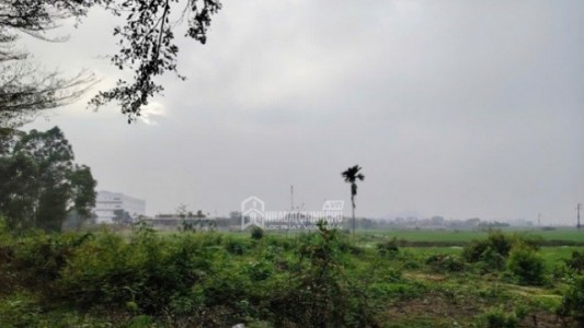 Làm sổ đỏ đất nông nghiệp bị yêu cầu nộp phạt từ năm 1998: Có đúng quy định không?