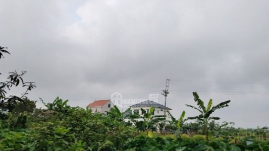 Chuyển một phần đất nông nghiệp sang đất ở từ 2026: Không bắt buộc tách thửa