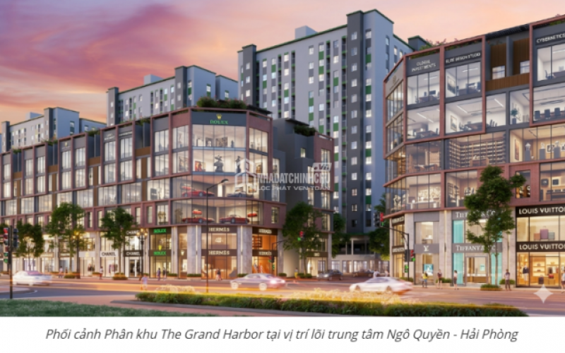 Dòng tiền 2026: Từ tích lũy an toàn sang khai thác chủ động