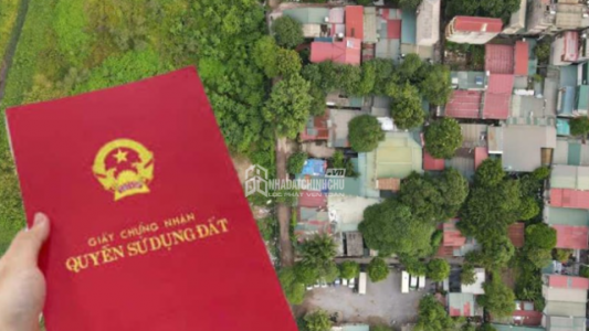 Căn cứ cấp sổ đỏ theo hiện trạng sử dụng đất thực tế