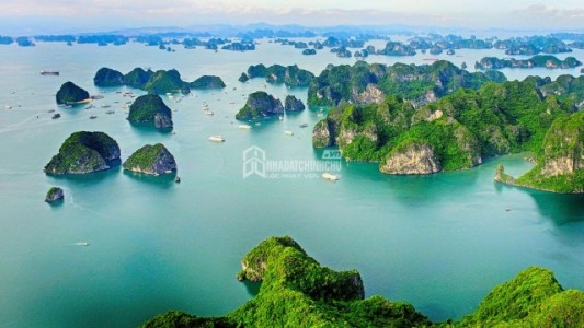 Quảng Ninh mời gọi đầu tư dự án nhà ở xã hội trên đồi cao tại Bãi Cháy