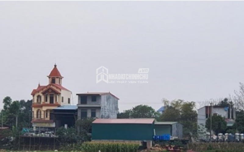 Đất lấn chiếm vẫn có thể được cấp sổ đỏ nếu phù hợp một loại quy hoạch