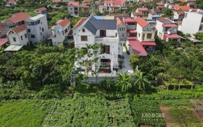 Những điều cần biết khi chuyển đất trồng cây lâu năm sang đất ở
