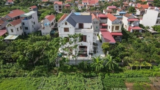 Những điều cần biết khi chuyển đất trồng cây lâu năm sang đất ở
