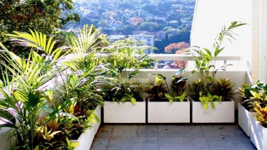 Mẹo làm vườn trên ban công nhỏ để tối ưu không gian sống