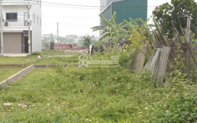 Lý Do Giá Đất Nền Ven Hà Nội Giảm Mạnh Sau Đợt Sốt Nóng