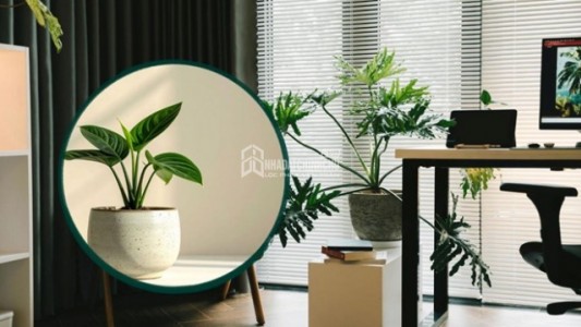 Những Cách Đơn Giản Giúp Ngôi Nhà Trở Nên Đẹp Và Cuốn Hút Hơn