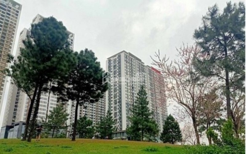 Giá bất động sản khó hạ nhiệt năm 2026 do quy hoạch, hạ tầng và chi phí đầu vào tăng