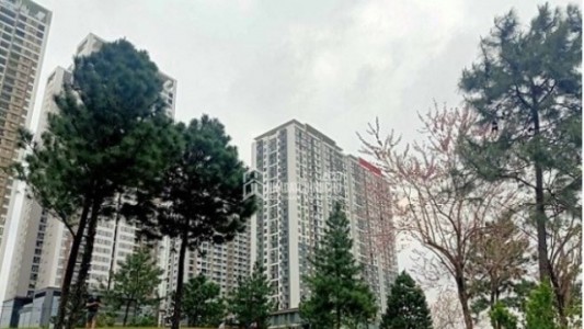 Giá bất động sản khó hạ nhiệt năm 2026 do quy hoạch, hạ tầng và chi phí đầu vào tăng