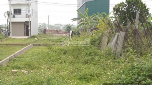 Thẩm quyền xác định loại đất sau khi hợp thửa đất ở với đất trồng cây lâu năm