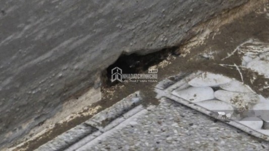 4 Khu Vực Sân Thượng Cần Kiểm Tra Kỹ Để Tránh Nước Ngấm Vào Tường