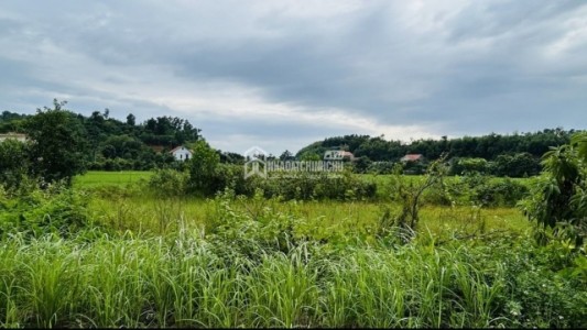 Cơ Chế Hỗ Trợ Người Sử Dụng Đất Khi Thực Hiện Dự Án Điện Hạt Nhân