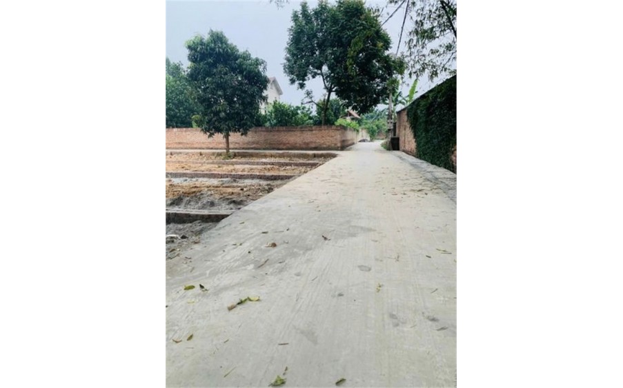 Bán nhanh 81m² tại Đan Tảo - Tân Minh - Sóc Sơn - HN. Full thổ. Đường 3m.