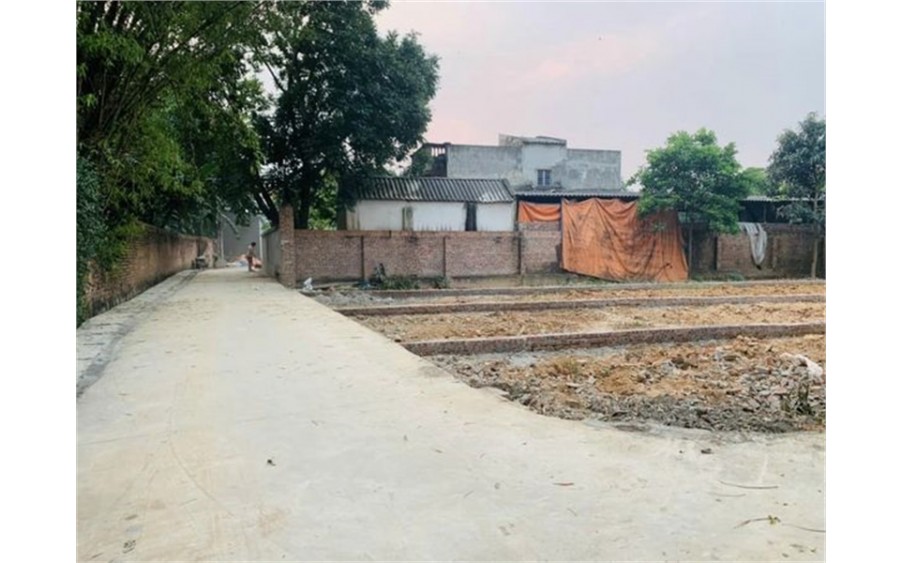 Bán nhanh 81m² tại Đan Tảo - Tân Minh - Sóc Sơn - HN. Full thổ. Đường 3m.