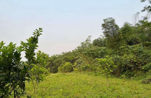 CHÍNH CHỦ CẦN BÁN 8.725M2 ĐẤT VIEW NÚI CÁCH QL 12B CHỈ 40M.