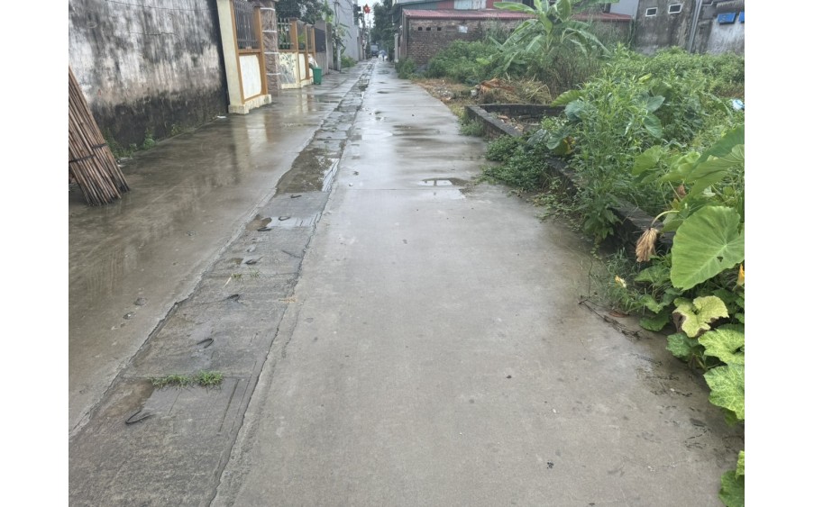 BÁN CẮT LỖ 71M ĐẤT TỔ 10, QUANG MINH, MÊ LINH, HN, GIÁ 1,95 TỶ.