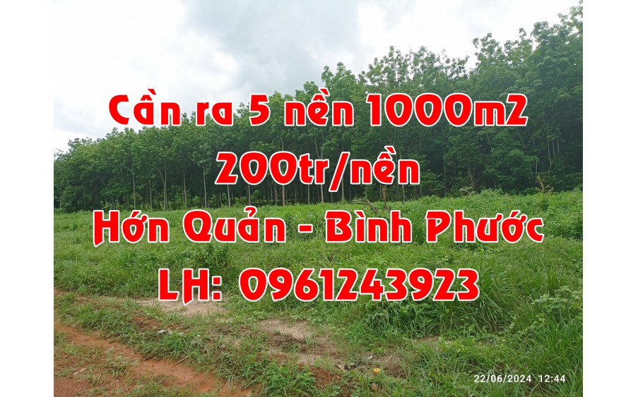 SỈ 5 NỀN 200TR/NỀN/1000M2 TẠI HỚN QUẢN, BÌNH PHƯỚC