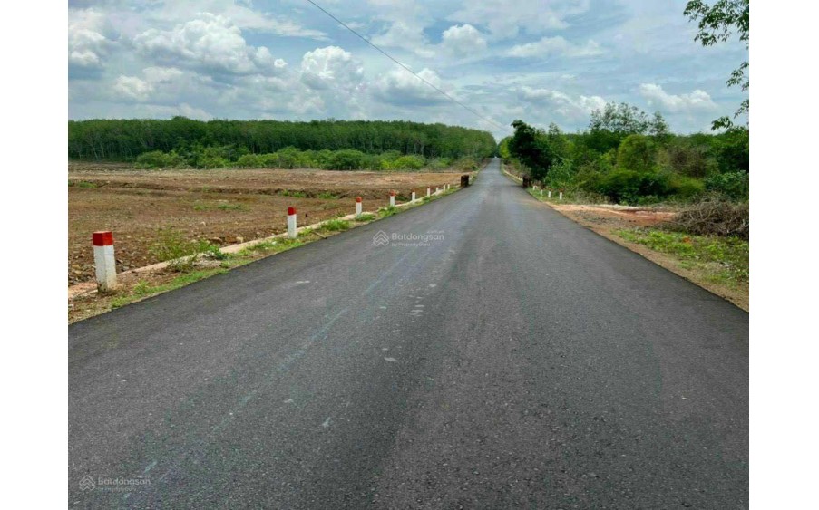 BÁN ĐẤT diện tích 13000m2 Hoà Hưng, Huyền Xuyên Mộc, tỉnh Bà Rịa - Vũng Tàu