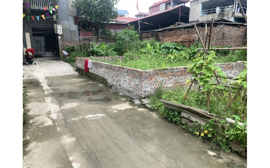 Rẻ nhất khu vực 51,9m2 đất thôn Bến Trung, Bắc Hồng, Đông Anh, Hà Nội.