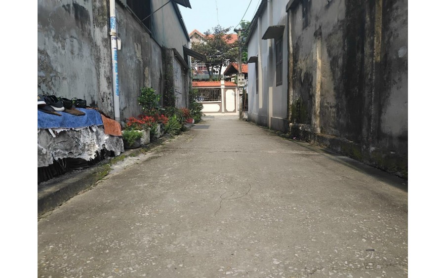 Cc gửi bán 88m2, mt=hậu=5.5m, 1.x tỷ, Xóm Dẫy, Đại Yên, Chương Mỹ, HN, ô tô, ngõ thông, giáp TL419