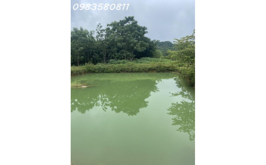 BÁN ĐẤT ĐẦU TƯ HOMESTAY SIÊU LỜI - HÒA BÌNH