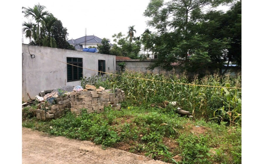 Hơn 40 mét mặt tiền rất lý tưởng cho các nhà đầu tư phân lô