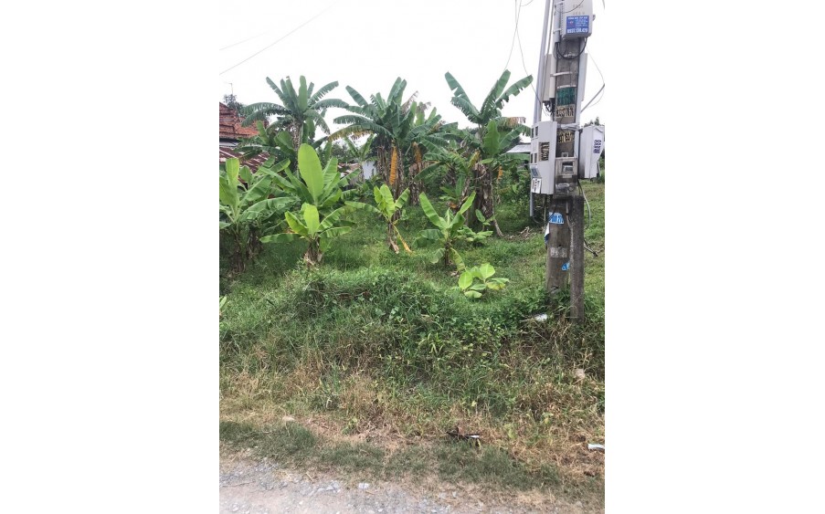 Chính chủ cần bán gấp lô đất đẹp ở Trảng Bàng Tây Ninh.